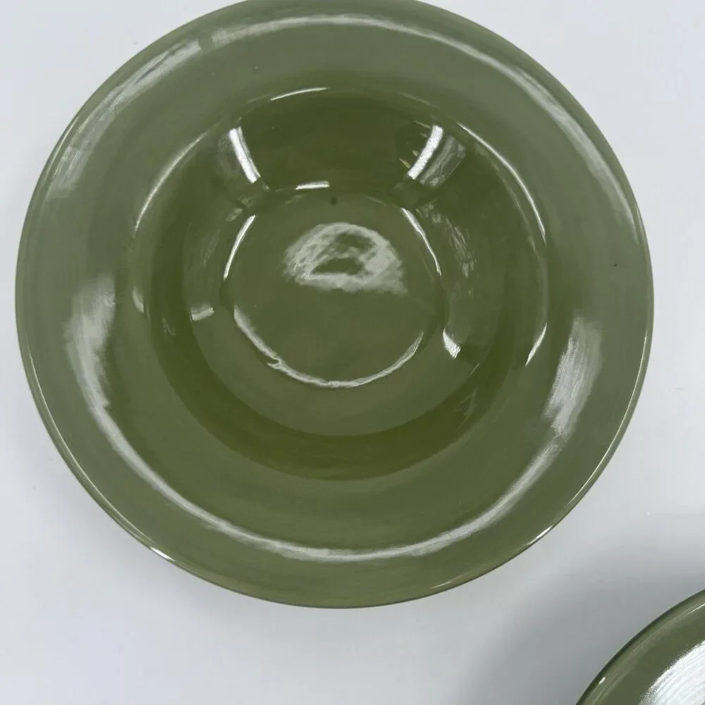 2 Pottery Barn SAUSALITO Green Wide Rimmed Bowl 10 Inch Soup Pasta Fast Shipping